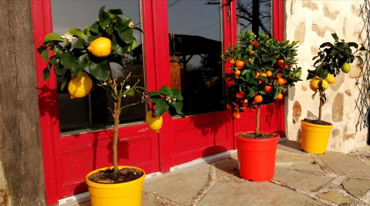 La Grange Ancienne Bed & Breakfast Montrollet Ngoại thất bức ảnh